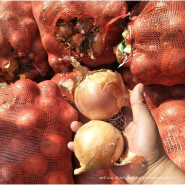 China yellow onion 50-70 mm hot sale, quality fresh red onion export